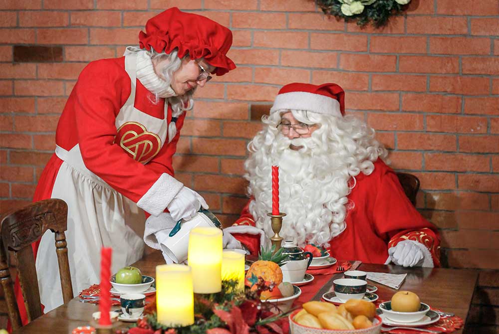 El-Bosque-del-ciclo-verde-noel-10