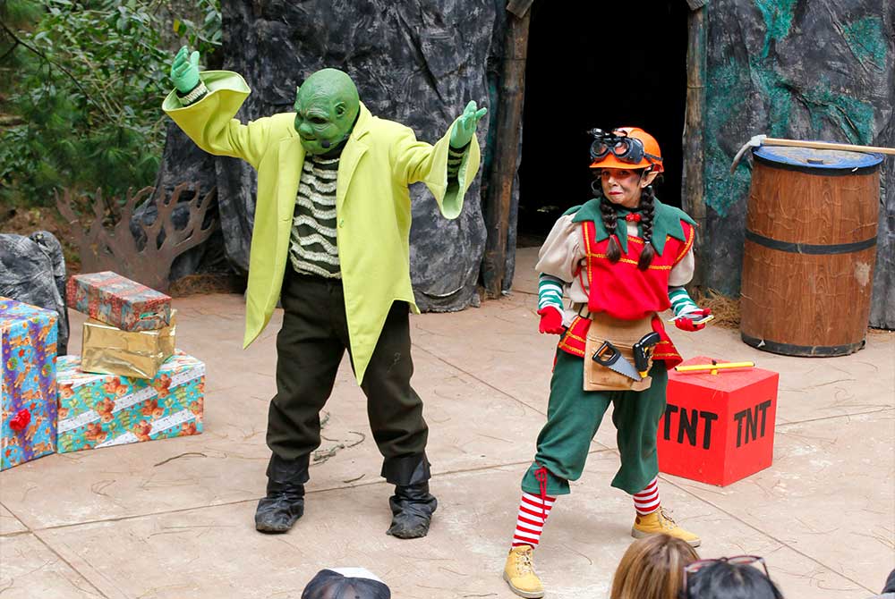 El-Bosque-del-ciclo-verde-noel-11