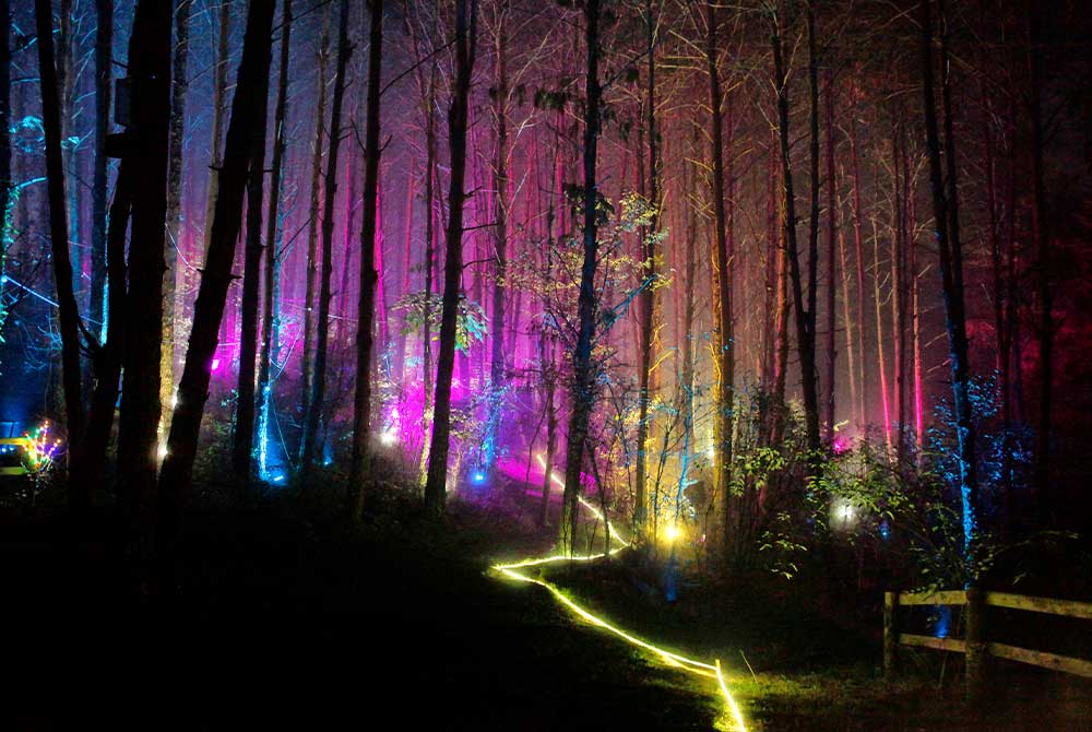 El-Bosque-del-ciclo-verde-noel-12