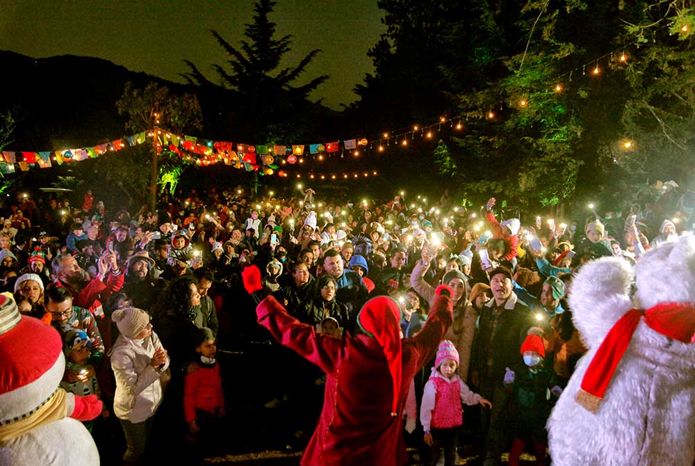 El-Bosque-del-ciclo-verde-noel-14