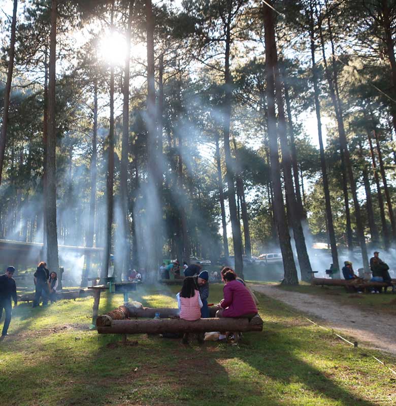 Escoge-y-Corta-Areas-de-Picnic-3