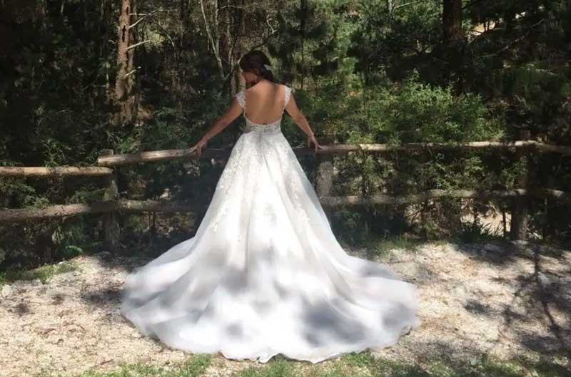 Liquen-Eventos-home-4